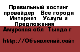 Правильный хостинг провайдер - Все города Интернет » Услуги и Предложения   . Амурская обл.,Тында г.